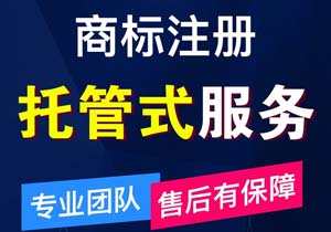 北京个人商标注册查询 北京个人商标注册查询